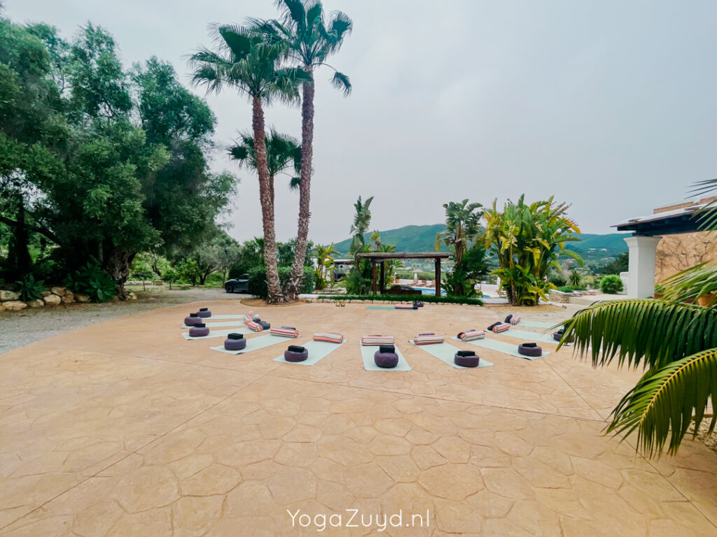 Yoga Zuyd - Yogareis Ibiza