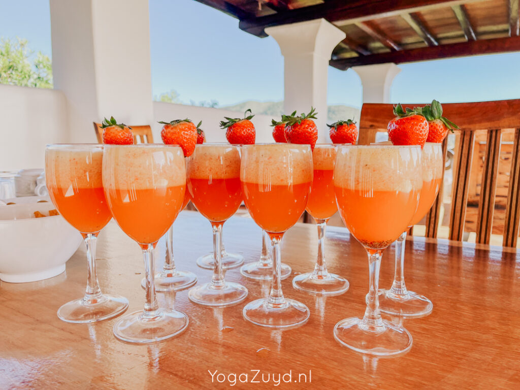 Yoga Zuyd - Yogareis Ibiza