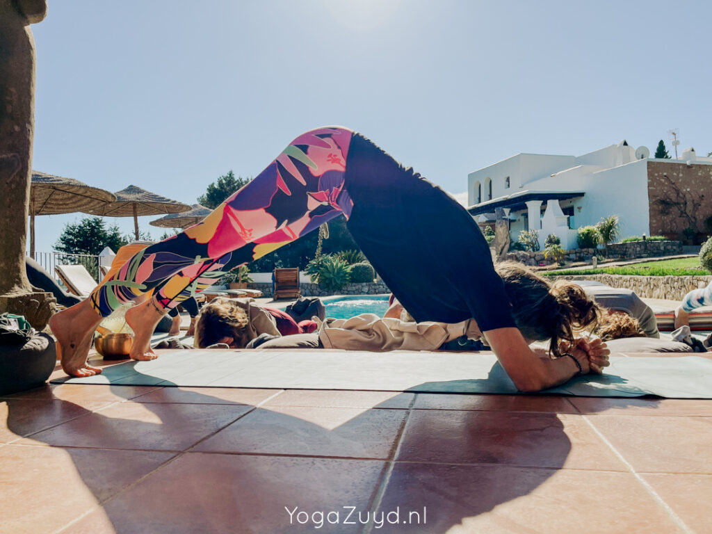 Yoga Zuyd - Yogareis Ibiza